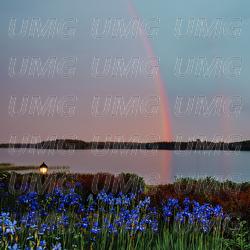 Valonpisaroita - Pyhimys, Ellinoora