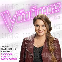 I Could Use A Love Song - Anna Catherine DeHart