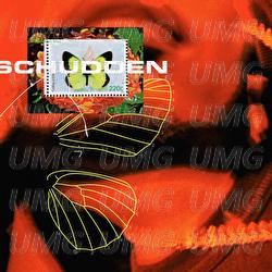 Schudden - Bokoesam, Cho