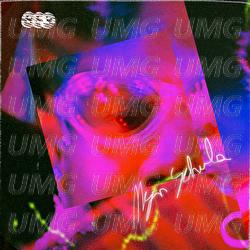 Mijn Schuld - Bokoesam