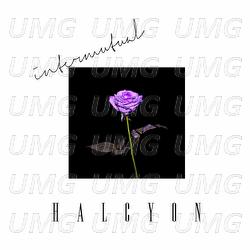 Intermutual - HALCYON