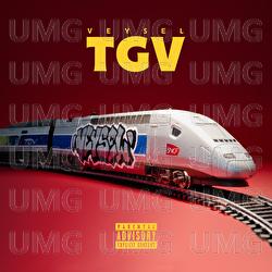 TGV - Veysel