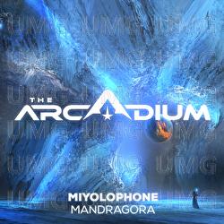 Mandragora - Miyolophone