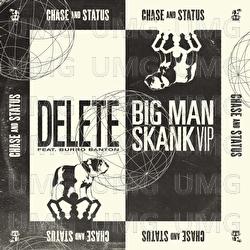 Delete / Big Man Skank (VIP)