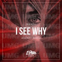 I See Why - MANTU