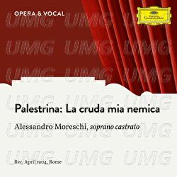 Palestrina: La cruda mia nemica - Alessandro Moreschi