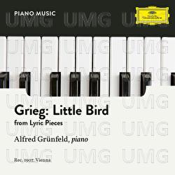 Grieg: 4. Little Bird - Alfred Grünfeld