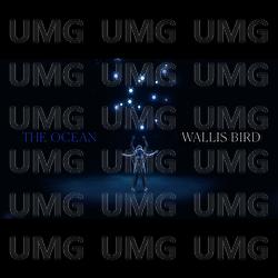 The Ocean - Wallis Bird