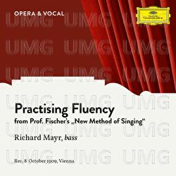 Practising Fluency - Richard Mayr