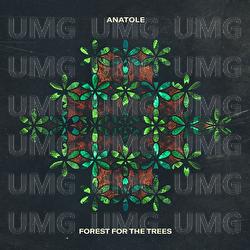Forest For The Trees - Anatole