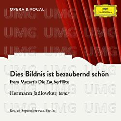 Mozart: Die Zauberflöte: Dies Bildnis ist bezaubernd schön - Hermann Jadlowker,  Various Artists