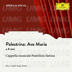 Palestrina: Ave Maria a 4 voci - Cappella Musicale Pontificia Sistina, Antonio Ralla