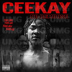 No Remorse - Cee Kay