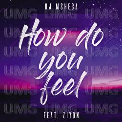 How Do You Feel - DJ Mshega, Ziyon