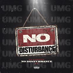 No Disturbance - TJ Porter