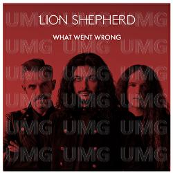 What Went Wrong - Lion Shepherd