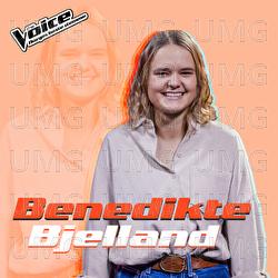 Liability - Benedikte Bjelland