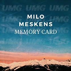 Memory Card - Milo Meskens