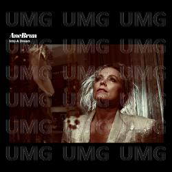 Into A Dream - Ane Brun
