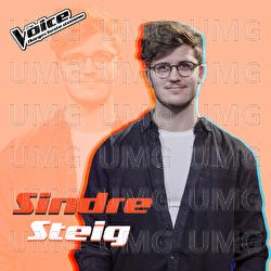 Resolution - Sindre Steig