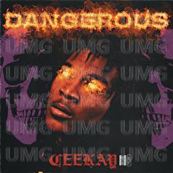 Dangerous - Cee Kay