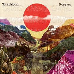Forever - Blackbud
