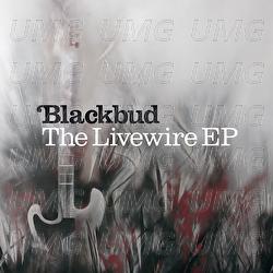 The Livewire EP - Blackbud