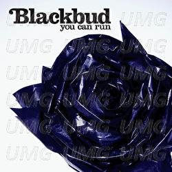 You Can Run - Blackbud