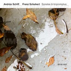 Schubert: 4 Impromptus, Op. 90, D. 899: 3. Andante - András Schiff
