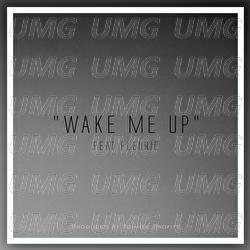 Wake Me Up - Tommee Profitt