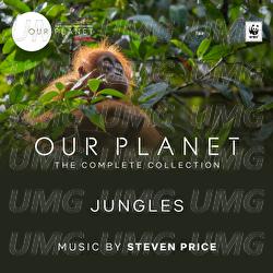 Jungles - Steven Price