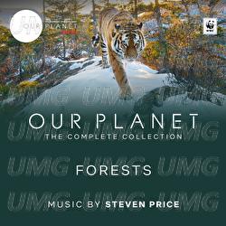 Forests - Steven Price