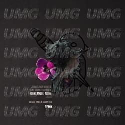 Found Myself Alone - Shaun Warner, ZESKULLZ, Black Mamba (ESP)