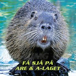 F&aring; sj&aring; p&aring; - Are & A-Laget