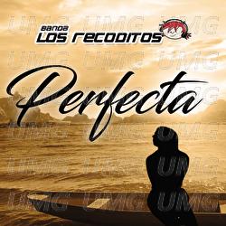 Perfecta - Banda Los Recoditos