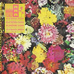 Flowers - Ra Ra Riot