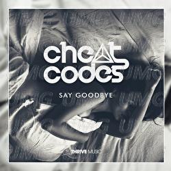 Say Goodbye - Cheat Codes