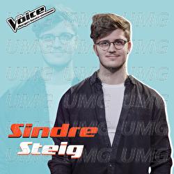 Stop This Train - Sindre Steig