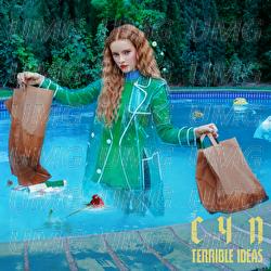 Terrible Ideas - Cyn