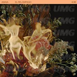 El Rel&aacute;mpago - Amaia