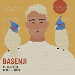 Perfect shop blue basenji