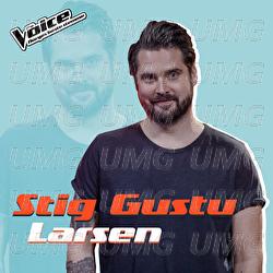 Sign Of The Times - Stig Gustu Larsen