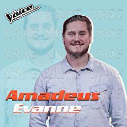 You Are The Reason - Amadeus Evanne