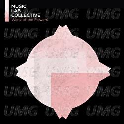 Tchaikovsky: The Nutcraker, Op. 71, TH 14: 13. Waltz Of The Flowers (arr. piano) - Music Lab Collective