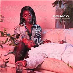 The Party's Over Here - Donae'o