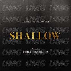 Shallow - Danielle Bradbery, Parker McCollum