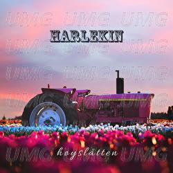 H&oslash;ysl&aring;tten - Harlekin