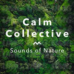 Sounds Of Nature - Calm Collective