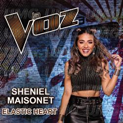 Elastic Heart - Sheniel Maisonet