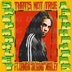 That's Not True - Skip Marley, Damian "Jr. Gong" Marley